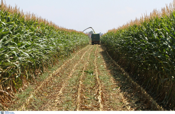 ΟΠΕΚΕΠΕ: Ξεκίνησε να πληρώνεται το τσεκ για τις αγροτικές επιδοτήσεις 2022