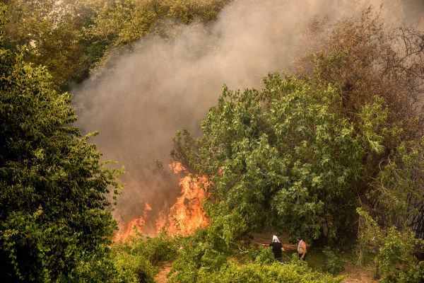 Φωτιά στη Μυτιλήνη: 57χρονος ομολόγησε εμπρησμούς