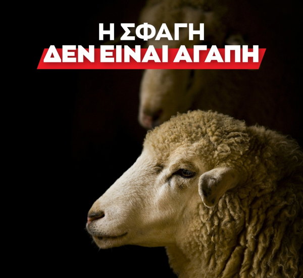 Και αν το αρνί ήσουν εσύ; Όταν η επιλογή των vegan γίνεται πεδίο μάχης