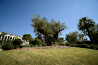 ΑΣΕΠ: Προσλήψεις 125 ατόμων στο Εθνικό Αρχαιολογικό Μουσείο