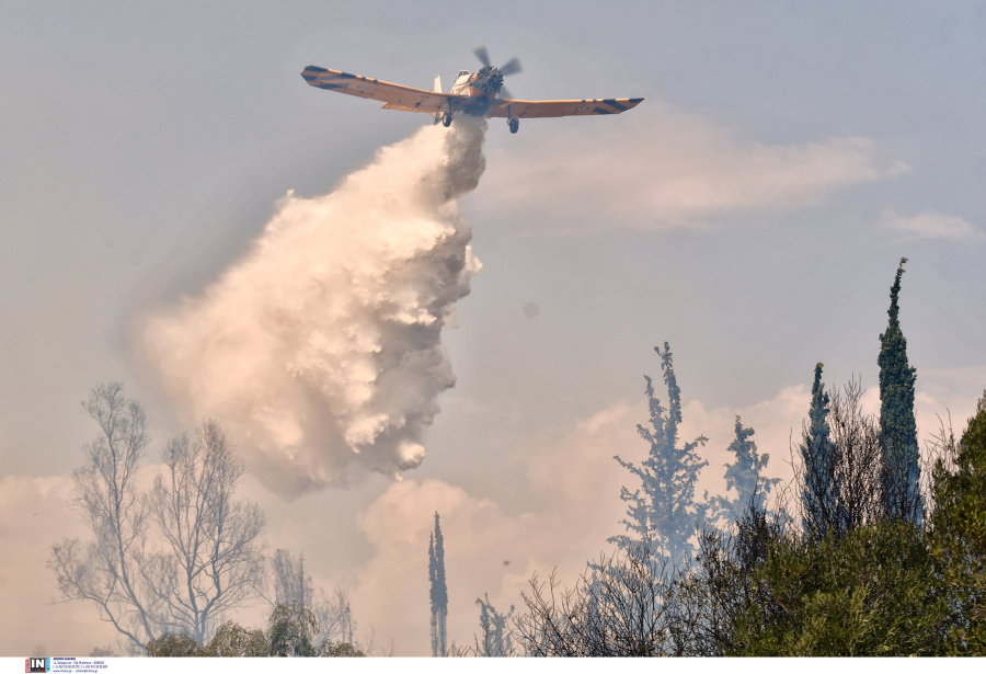 Υψηλός κίνδυνος εκδήλωσης πυρκαγιάς αύριο στον Έβρο