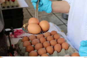 Τι πρέπει να προσέχετε όταν αγοράζετε αυγά