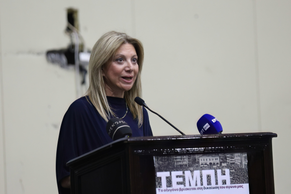 Η Καρυστιανού και η «προσωρινή» ψήφος στις πρώτες εκλογές