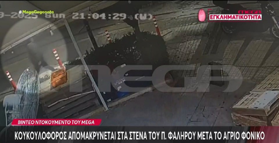 Παλαιό Φάληρο: Πάνω από 30 μαχαιριές δέχτηκε το θύμα