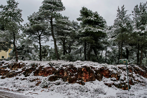 Χιονίζει στην Πάρνηθα - Έκλεισε η λεωφόρος από το τελεφερίκ και πάνω