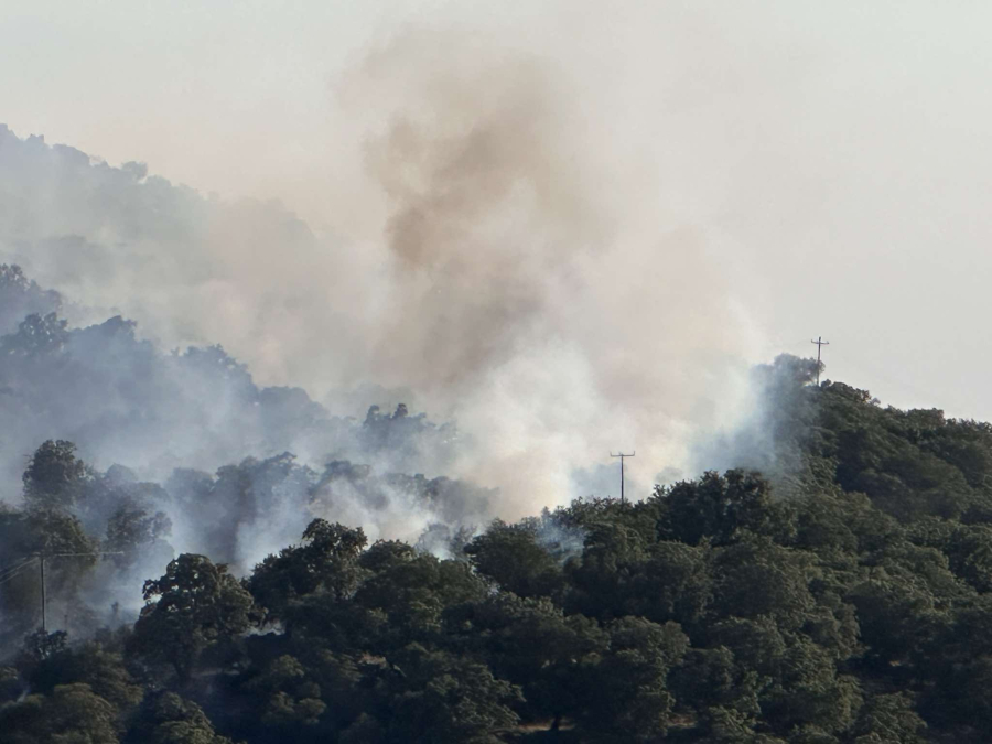 Φωτιά τώρα στη Λέσβο, ρίψεις από 4 εναέρια