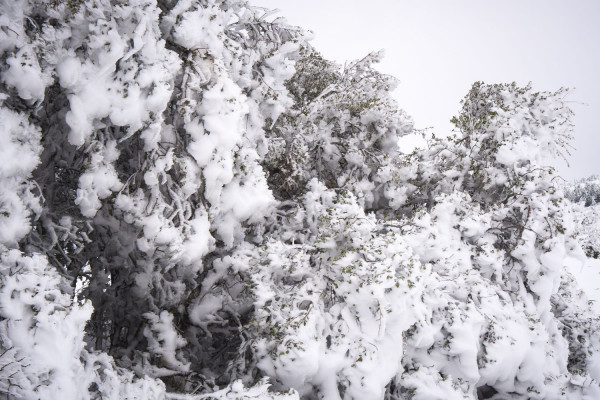Η «Ζηνοβία» φέρνει νύχτα αγωνίας στην Εύβοια – Εντολή εκκένωσης σπιτιών στον Λήλαντα