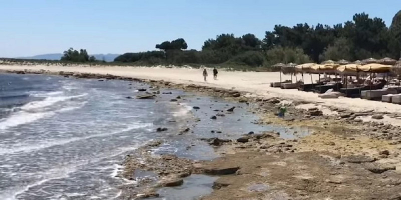 Χαλκιδική: «Έφυγε» η θάλασσα λόγω άμπωτης (βίντεο)