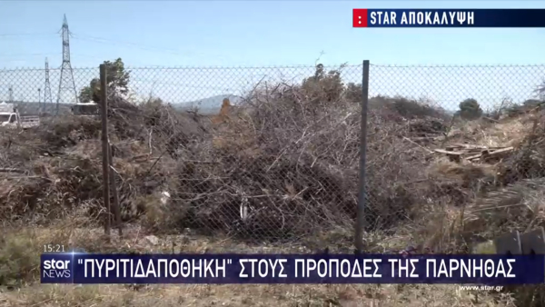 Απίστευτο! Ξερόκλαδα στους πρόποδες της Πάρνηθας, δίπλα στην πολιτική προστασία του δήμου Αχαρνών