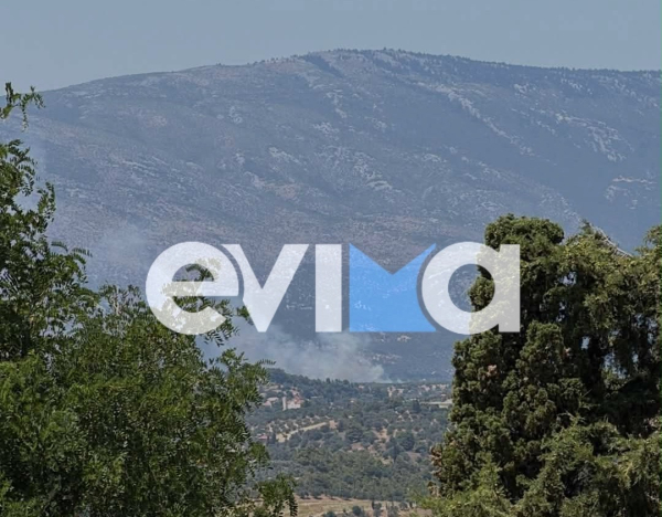 Φωτιά τώρα στην Εύβοια - Μήνυμα για εκκένωση από το 112