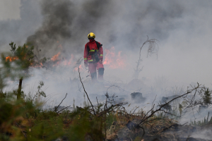 Σοκάρουν τα στοιχεία από τις φωτιές σε Γαλλία και Ισπανία - 57% αύξηση στις πυρκαγιές στην Ευρώπη (Βίντεο)
