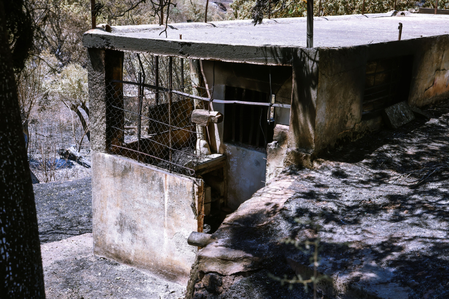 Φωτιά στη Χίο: 3ετής ποινή φυλάκισης και πρόστιμο 10.000 ευρώ στην οικιακή βοηθό