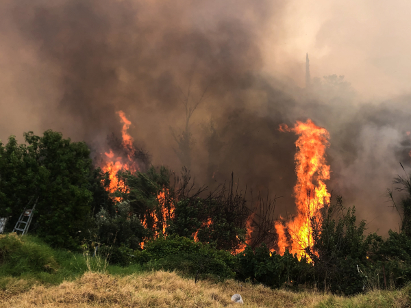Εκκενώνεται τώρα η παλαιά Φιλιππιάδα - Στο έλεος του πύρινου ολέθρου η Πρέβεζα
