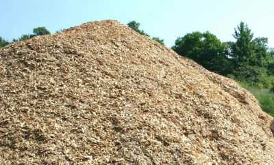 Συγκέντρωση κατά της δημιουργίας μονάδων παραγωγής ενέργειας από βιομάζα