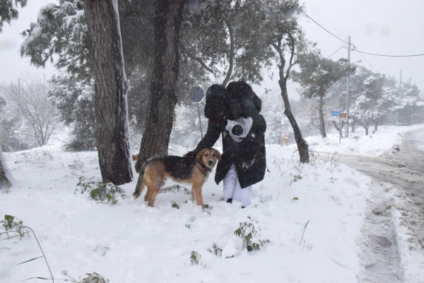 Καιρός: «Στην κατάψυξη η χώρα» -Πού και πότε θα χιονίσει στην Αττική