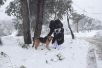 Καιρός: «Στην κατάψυξη η χώρα» -Πού και πότε θα χιονίσει στην Αττική