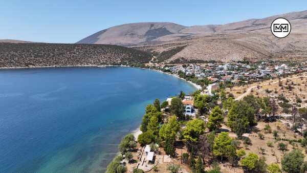 Σαράντη Βοιωτίας: Ανακαλύψτε τον παράδεισο της Στερεάς Ελλάδας