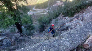 Τροχαίο δυστύχημα στην Ευρυτανία: 54χρονος οδηγός έπεσε σε γκρεμό 40 μέτρων