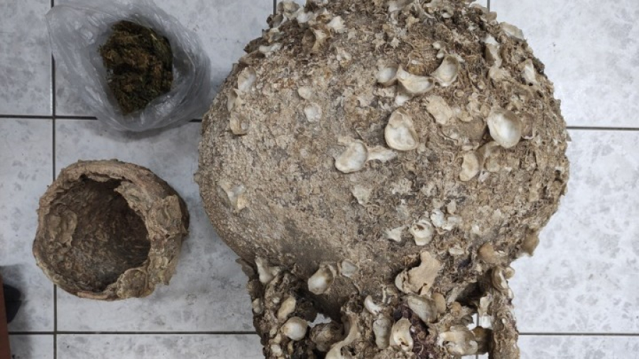 Βρέθηκαν αρχαία στην Πάρνηθα, τι εντόπισε η ΕΛΑΣ