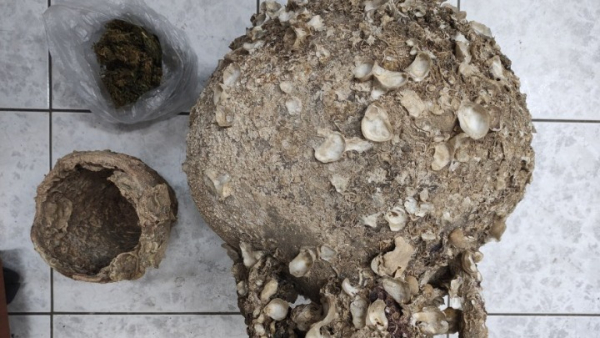 Βρέθηκαν αρχαία στην Πάρνηθα, τι εντόπισε η ΕΛΑΣ