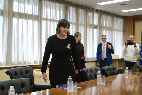 Η ώρα της Κοβέσι στο Πέραμα - Το μεγάλο σκάνδαλο με τα τελωνεία