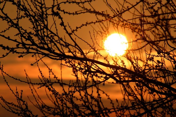Η πιο ισχυρή ηλιακή έκλαμψη εδώ και 12 χρόνια
