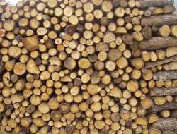 Δωρεάν καυσόξυλα από τη Μητρόπολη Σερρών σε οικονομικά αδύναμους