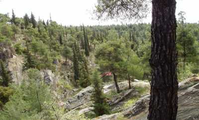 Καθαρισμός του Σέιχ Σου ενόψει καλοκαιριού