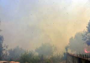 Χανιά: Υπό έλεγχο η πυρκαγιά στα Φαλάσαρνα