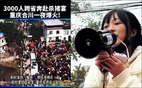 Ζήτησε βοήθεια για να σκοτώσει τα γουρούνια της – και χιλιάδες έσπευσαν στο χωριό της