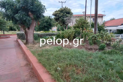 Πάτρα: Έκανε την πλατεία κήπο του με ντομάτες και μελιτζάνες