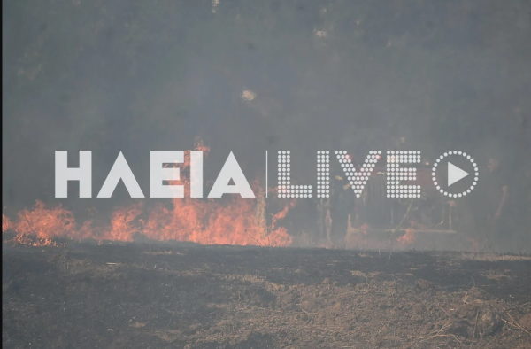 Φωτιά τώρα στην Βάρδα Ηλείας - Επιχειρούν και 4 εναέρια εν μέσω ισχυρών ανέμων