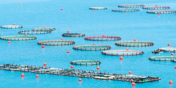 Απογραφικό δελτίο και εξαμηνιαίο δελτίο υδατοκαλλιεργείων