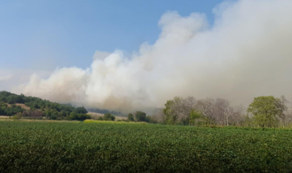 Φωτιά τώρα στην Καρδίτσα, μήνυμα από το 112