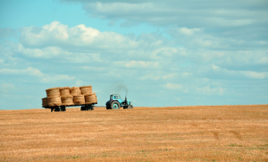 Greece Faces Risk of Losing EU Farm Subsidy Payments Amid OPEKEPE Turmoil