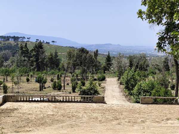 Τατόι: Προς μακροχρόνια μίσθωση των κτιρίων σε ιδιώτη και σκιές για το μέλλον του κτήματος