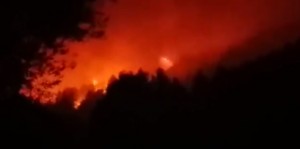 Αχαΐα: Πύρινος εφιάλτης – Νέο μέτωπο! Κάηκαν σπίτια στο Ελαιοχώρι (video)