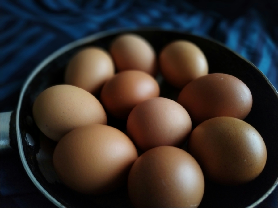 «Μην τρώτε σπιτικά αυγά, περιέχουν τοξικές χημικές ουσίες»: Η περίεργη προειδοποίηση των ολλανδικών αρχών