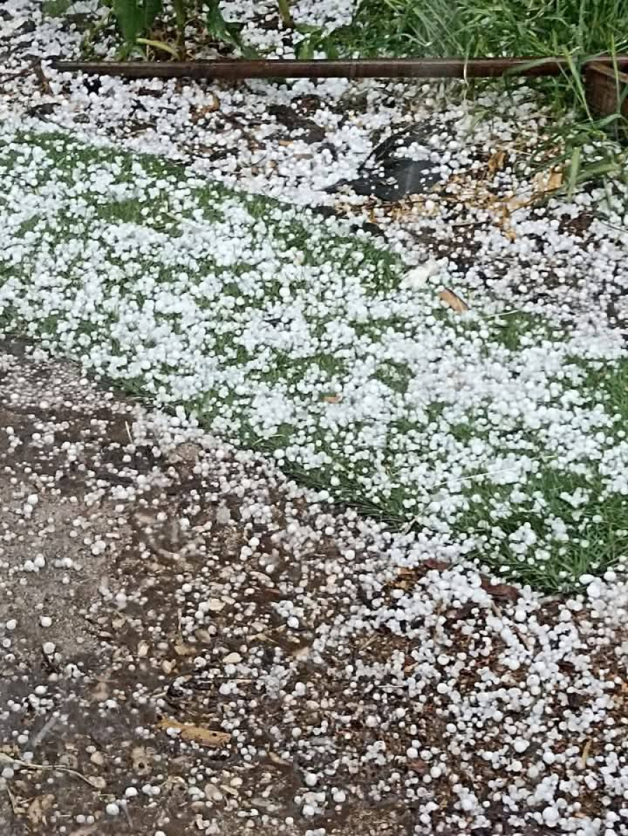 Άρτα: Χαλάζι προκάλεσε μεγάλες ζημιές σε ελαιώνες και δρόμους (video εικόνες)