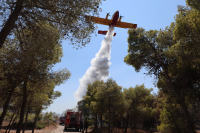 «Καμίνι» η χώρα: Επικίνδυνος συνδυασμός με 39άρια και μελτέμια - Red Code σε πολλές περιοχές