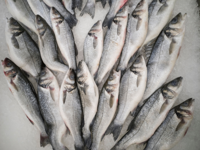 Έφαγαν ψάρια από τη Φουκουσίμα πρωθυπουργός και πρέσβης για να... καθησυχάσουν την κοινωνία
