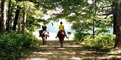 Δωρεάν μαθήματα θεραπευτικής ιππασίας στην Θεσσαλονίκη