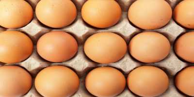 Ίδρυση και λειτουργία κέντρου συσκευασίας αυγών