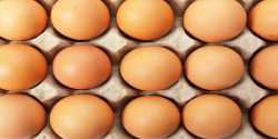 Ίδρυση και λειτουργία κέντρου συσκευασίας αυγών