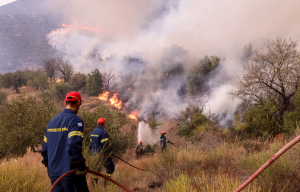 Φωτιά στη Βοιωτία: Οι φλόγες έφτασαν στις αυλές των σπιτών - Εκκενώθηκε η Αλυκή