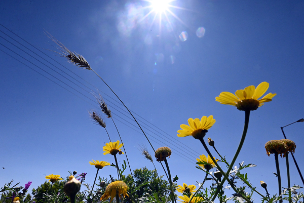 Ανοιξιάτικος ο καιρός σήμερα - Μικρή άνοδος της θερμοκρασίας