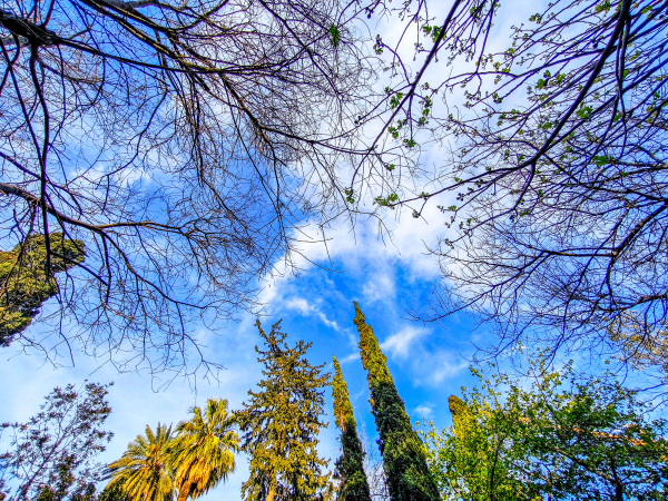 Ανοιξιάτικος ο καιρός σήμερα στο μεγαλύτερο μέρος της χώρας - Πού αναμένονται βροχές