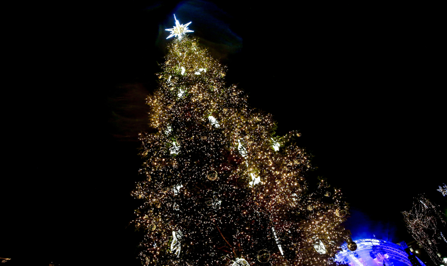 Χανιά: Φωταγωγήθηκε το μεγαλύτερο χριστουγεννιάτικο δέντρο της Ελλάδας στον Ομαλό (Βίντεο)