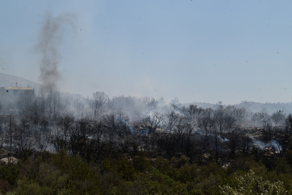 Σε ύφεση η φωτιά στην Πολυτεχνειούπολη - Εικόνες και βίντεο από τη μάχη με τις φλόγες