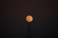 Πανσέληνος Ιουνίου 2024: Πότε θα δούμε το ολόγιομο φεγγάρι